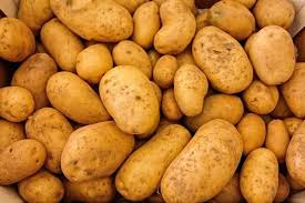 Mais franchement à côté d'un pied de choux la culture des pommes de terre à la mode des anciens. Pomme De Terre Plantation Et Entretien Truffaut
