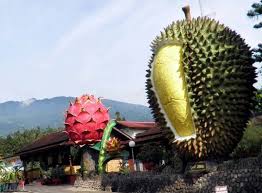 Mulai dari keragaman wisata kuliner, hingga wisata alam. Panorama 10 Tempat Wisata Alam Di Bogor Ini Bikin Adem Mata