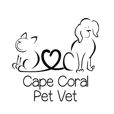 Searching for an escape to cape coral with your cat or dog? Say Hi To Fatboy And Janet He S Cape Coral Pet Vet