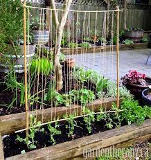 Trellises are great additions to any garden where you want to grow climbing plants. Making A Pea Trellis With Kids Garten Gartenspaliere Garten Hochbeet