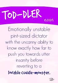 Mini Dictator Only Toddlers Can Get Away With This Toddler Quotes Funny Toddler Quotes Toddler Humor