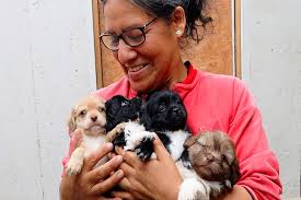 PNP desarticula 8 bandas criminales y captura a requisitoriado por  terrorismo en Lima