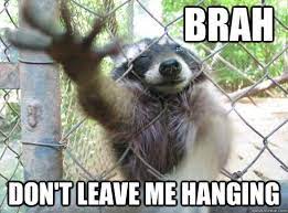 Brah Don T Leave Me Hanging Bro Racoon Quickmeme