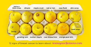 Learn about what breast lumps and other symptoms feel they can vary from painful, hard, and immobile to soft, painless, and easily moveable. Breast Cancer Indicators Thegirlsurvivalguide