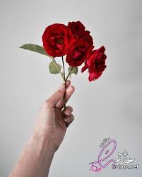 صور يد ماسكة وردة رمزيات بنات ماسكين وردة خلفيات واتس اب بنت رمزيات تخرج بنات ليدي بيرد اجدد صور صباحية للايفون 2019 صور ورد للايفون 2019 صور ايفون 139 best صور 2020 images in 2020 happy new year. Ø±Ù…Ø²ÙŠØ§Øª ÙØªØ§Ù‡ Ù…Ø§Ø³ÙƒÙ‡ ÙˆØ±Ø¯Ù‡ ÙˆØ±Ø¯ Ø·Ø¨ÙŠØ¹ÙŠ Ø¨Ø§Ù„ØµÙˆØ± Ø´Ø¨ÙƒØ© Ø¹Ø§Ù„Ù…Ùƒ