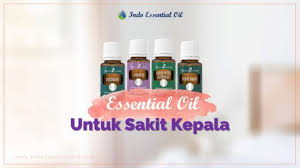 Tidak lupa, kami juga akan memberi rekomendasi produk dari merek terkemuka, seperti young living, nusaroma, happy green, dan lainnya. 4 Essential Oil Untuk Sakit Kepala 2021 Indo Essential Oil