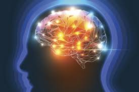 brain exercise à¤•à¥‡ à¤²à¤¿à¤ à¤‡à¤®à¥‡à¤œ à¤ªà¤°à¤¿à¤£à¤¾à¤®