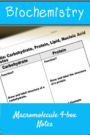 Macromolecule Classroom Notes 4 Box Style In 2020 Special Education Math Teaching Special Education Teacher Moments