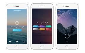 Emotional Wellness Startup Aura Raises 2 7 Million From Cowboy Ventures And Reach Capital Emotional Wellness Start Up Tech Startups