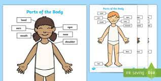 Free interactive exercises to practice online or download as pdf to print. Body Parts Worksheet Labelling Activity Teacher Made