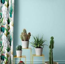 Gambar desain rumah kayu modern gambar rumah idaman rumah kayu bisa dibangun dengan model yang sederhana yang mana biasanya model rumah kayu. Wallpaper Bunga Kaktus Buat Rumah Makin Cantik Dengan Tanaman Kaktus Ini 8 Source Today Line Me Wallpaper Dekorasi Tanaman Tanaman Dalam Ruangan Menanam