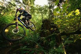 Pin By Alexis Prado On Mtn Biking Mountain Biking Bike Life Cute Posts