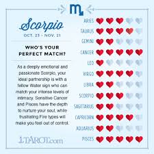 They do not fall in love often, but once they do, it is. 24 Best Astrology Love Compatibility Ideas Love Compatibility My Zodiac Sign Horoscope