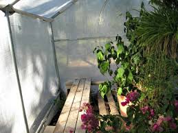 We are going to walk you through, step by step, and help you build your own greenhouse. Build Your Own Greenhouse