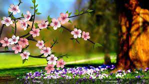 Desktop Wallpaper Hd 3d Full Screen Flowers Wallpapers And Pictures Wallpaper Nature Flowers Flower Desktop Wallpaper Wallpaper Photo Hd