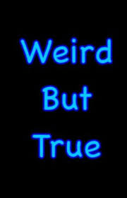 Image result for 241543903