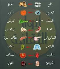 Arabic Health Facts Fitness Health Fitness Nutrition Health Diet