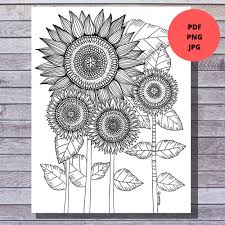 Printable Coloring Page Sunflower Floral Spring Coloring Etsy Printable Flower Coloring Pages Owl Coloring Pages Coloring Pages