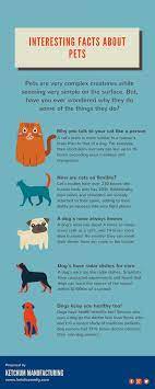 Interesting Facts About Pets Pet Pets Dog Dogs Cat Cats Doglovers Catlovers Funny Interesting Fact F Fun Facts About Animals Fun Facts Animal Facts