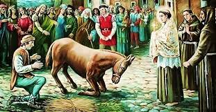 San Antonio De Padua Milagro Mula Eucaristia San Antonio De Padua Milagros Mulas