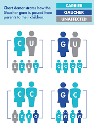 The 5 Most Common Ashkenazi Genetic Diseases How Ngf Can Help You Get Screened
