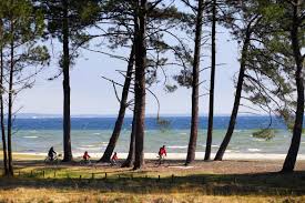 Bienvenue sur le site du conseil départemental des landes. 8 Ideen Fur Ausfluge In Der Region Der Landes Bordeaux Tourismus Kongress