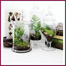 Having Difficulties With Horticulture Simple Garden Ideas Planter Pots Indoor Terrarium Centerpiece Terrarium Wedding