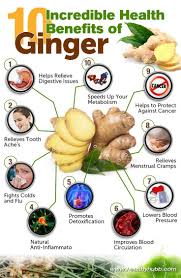 Why We Eat Ginger Almost Everyday Gingerpower Nutrition Health Healthybody Happybody G Ginger Benefits Health Benefits Of Ginger Coconut Health Benefits
