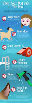 30 Infographics That Can Save Your Pet Pet Safety Tips Free Printable Pet Emergency Sticker The Cottage Market Dog Safe Pet Emergency Dog Health Tips
