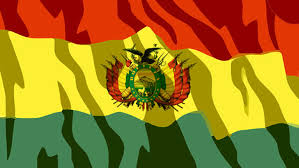 Debía tener tres franjas, la del medio debía tener el doble de tamaño para que, en caso de guerra, tuviera el dibujo de un sol. Dia De La Bandera Boliviana 17 De Agosto