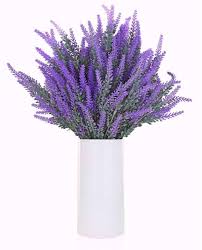 Bunga lavender, dalam bahasa latin ia disebut lavandula afficinalis syn. 10 Jenis Tanaman Hias Dalam Kamar Tidur Bikin Tidur Sehat Nyenyak Rumah123 Com