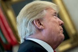 Trump Eats McDonald's Because He's Afraid of Being Poisoned Elsewhere