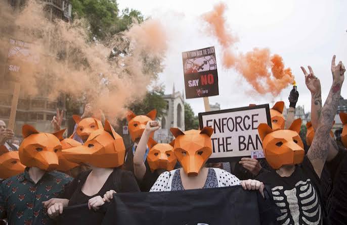 British PM backs down over fox-hunting vote | The Straits Times