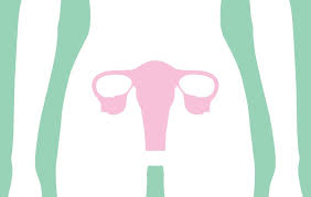 Signs and symptoms of ovarian cancer may include it's not clear what causes ovarian cancer, though doctors have identified factors that can increase the risk of the disease. 7 Signs And Symptoms Of Ovarian Cancer Women Easily Miss
