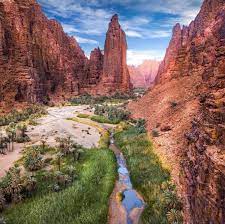 Tabuk Saudi Arabia Tabuk Vacation Trips Family Travel Destinations