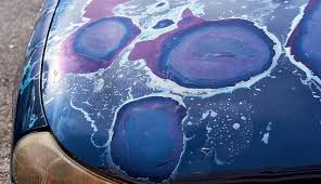 We did not find results for: How To Protect Your Car From Sun Damage Carwise Blog