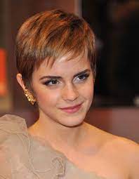 Epingle Sur Cheveux