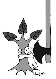 A Wise And Caring Government Would Have Deepened The Precocious Far Seeing Efforts Of Our Environmental Scientists Inste Hindu The Hindu Editorial The Past
