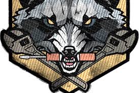 Image result for Polystachya campyloglossa