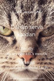 10 Persian Slang Words You Won T Learn In Class My Persian Corner Persian Language Slang Words Learn Persian