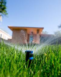 In this video, i'll show you how i water my lawn without a sprinkler system. You Re Wasting Water On Your Lawn Here S How To Stop This Summer Mpr News