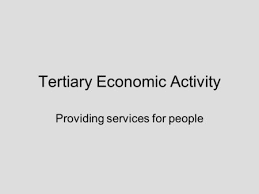 Getting the strategy right will strengthen the resilience of the australian economy and help realise india's aspirations. Tertiary Economic Activity Ppt Download