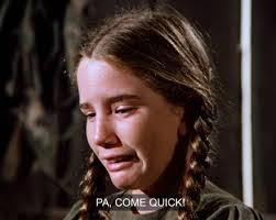 Polly Crow's Instagram, Twitter & Facebook