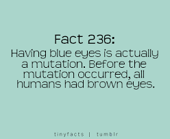 However, sometimes, our limited knowledge makes us doubt things that are completely real. 17 Funny But True Facts Gallery