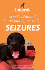 How I Ve Found A Better Management For Seizure Seizures Management Pets