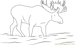 Lemon juice is a decent electrolyte because it is an acid. Moose Drink Water Coloring Page For Kids Free Mouse Printable Coloring Pages Online For Kids Coloringpages101 Com Coloring Pages For Kids