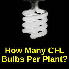 I am currently running cfl lights to the times of 8700lumens per plant at the rate of 74w per sq ft. How Many Cfls Per Plant Using Watts And Size Grow Light Info