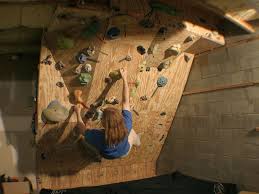 Pin By Kari Post On Climbing Diy Climbing Wall Home Climbing Wall Climbing Wall