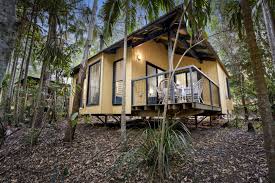 Maybe you would like to learn more about one of these? Mt Tamborine Accommodation Gold Coast Cedar Creek Lodges