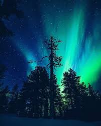 Northern Lights Shining In The Arctic Skies In Finland Tag Your Friends Who Would Like To Go Her Northern Lights Tattoo Northern Lights Alaska Northern Lights